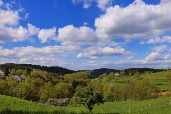 Odenwald Weinheim Våren — Stockfoto