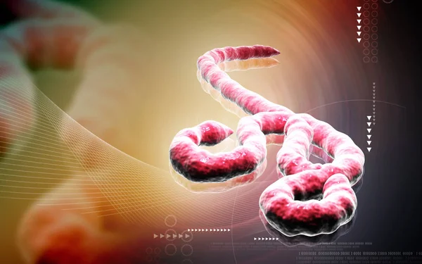 Illustrazione Digitale Del Virus Ebola Sullo Sfondo Colori — Foto Stock