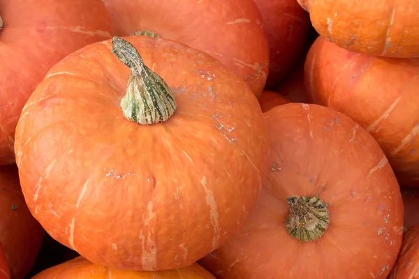 Pompoenen Pompoenen Plantaardige Producten — Stockfoto