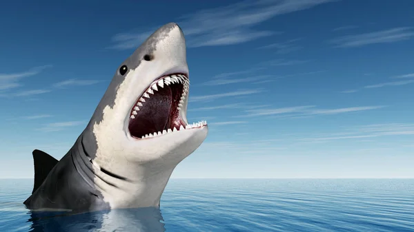 Computer Generated Illustration Big White Shark — Stock Photo, Image