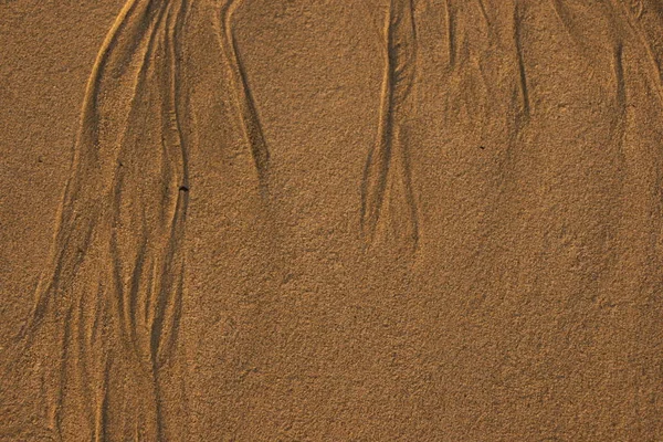 Segni Acqua Nella Sabbia — Foto Stock