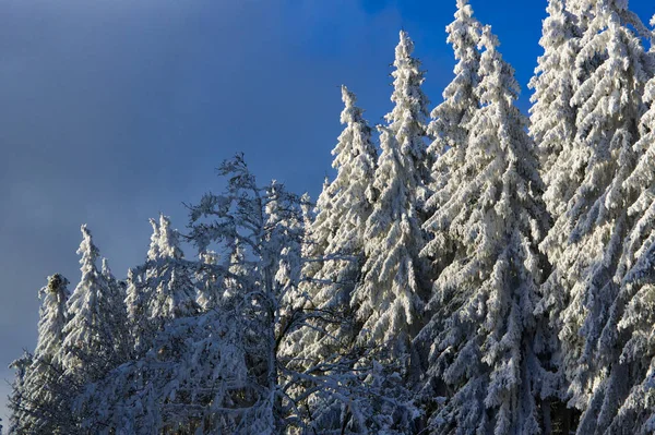 Winter Impressions Sauerland — Stock Photo, Image