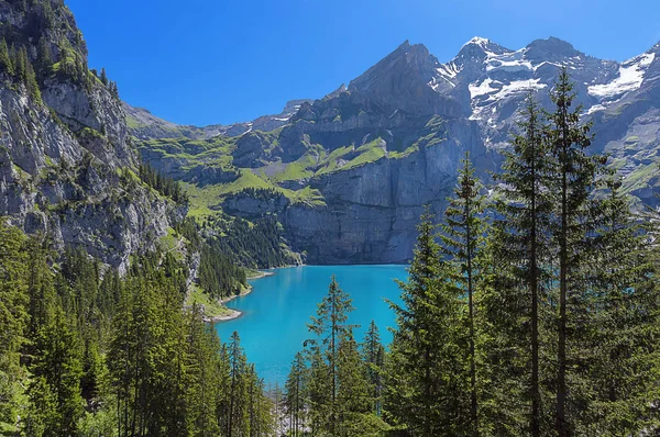 Doğanın Güzel Manzarası — Stok fotoğraf