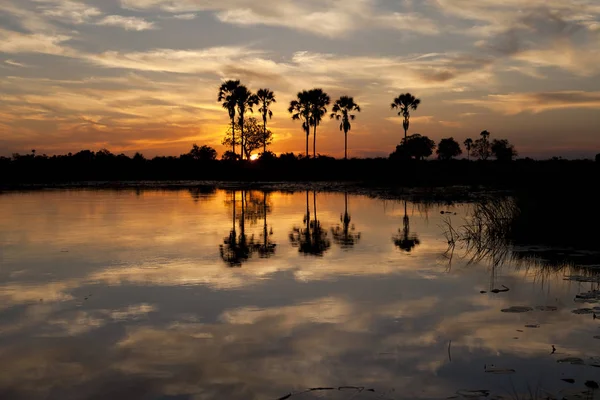 Botswana Okavango Deltasının Üzerinde Gün Batımı — Stok fotoğraf