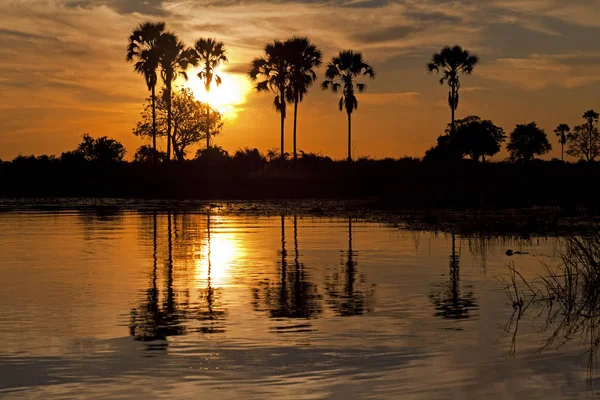 Botswana Okavango Deltasının Üzerinde Gün Batımı — Stok fotoğraf