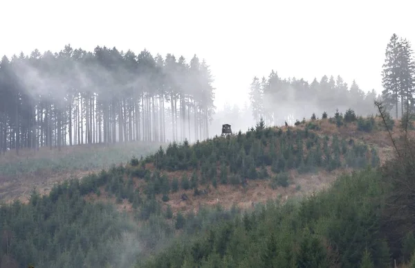 Paisagem Nebulosa Okertalsperre Okertal Harz Weihnachten Oderteich Represa Harz Superior — Fotografia de Stock