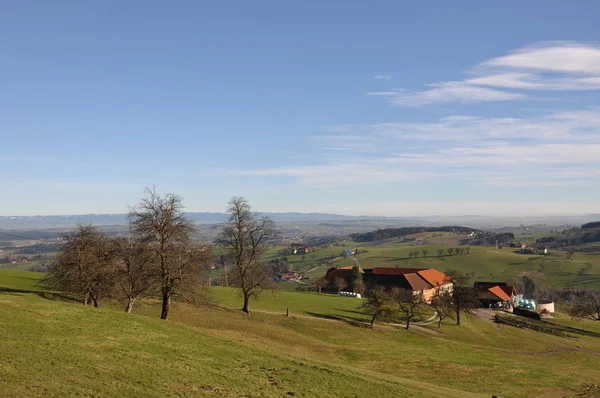 Vierkantbauernhof Nedre Austriens Mestviertel Region — Stockfoto