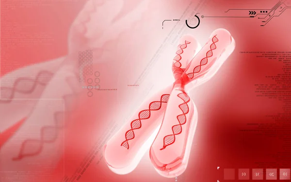 Ilustración Digital Del Cromosoma Fondo Color — Foto de Stock