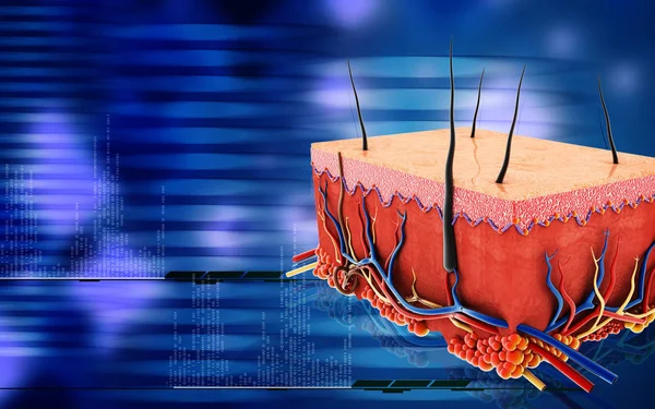 Ψηφιακή Απεικόνιση Του Δέρματος Έγχρωμο Φόντο — Φωτογραφία Αρχείου
