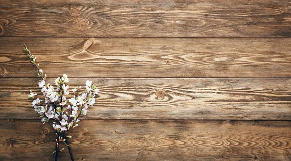 Kwiaty Drewno Tekstury Tło Lato — Zdjęcie stockowe