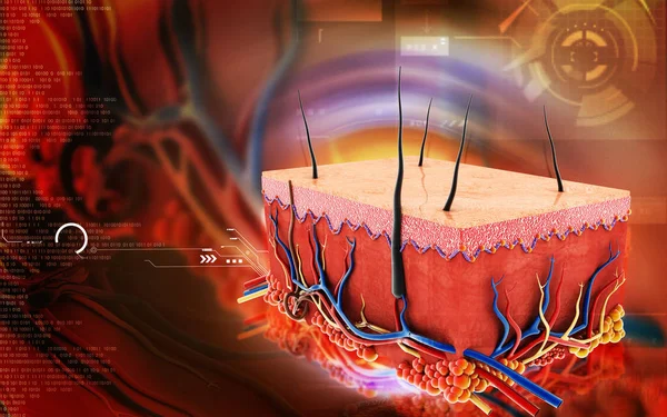 Ψηφιακή Απεικόνιση Του Δέρματος Έγχρωμο Φόντο — Φωτογραφία Αρχείου
