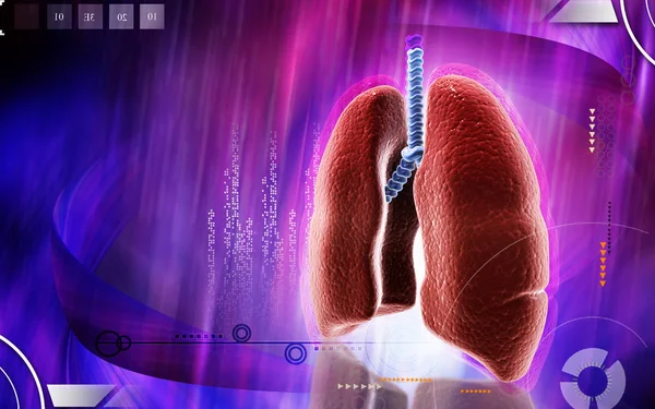 Digital Illustration Human Lungs Colour Background — Stockfoto