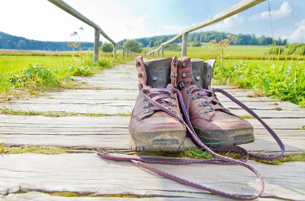 Tempo Caminhada Natureza — Fotografia de Stock