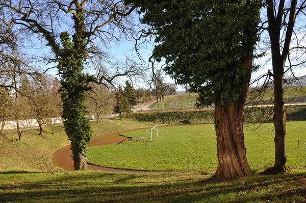 Sports Ground Winter — Stock Photo, Image