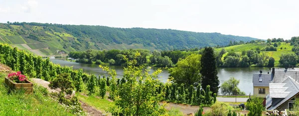 摩泽尔河是一条流经法国 卢森堡和德国的河流 — 图库照片