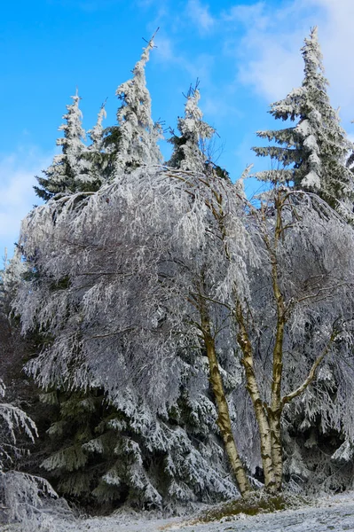 Impresiones Invernales Sauerland —  Fotos de Stock