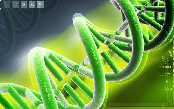 Digital Illustration Dna Strukturen Färg Bakgrunden — Stockfoto