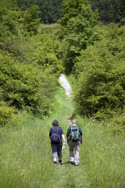 Duas Mulheres Com Mochilas Andando Por Caminho Grama Floresta — Fotografia de Stock