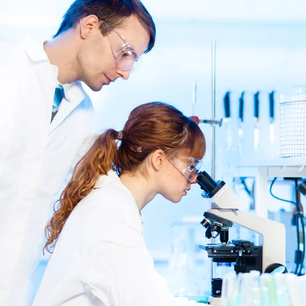 Attractive Young Female Research Scientist Her Post Doctoral Male Supervisor — Stock Photo, Image