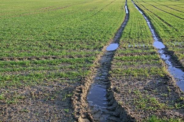 Pista Tractores Tierras Agrícolas Enero —  Fotos de Stock