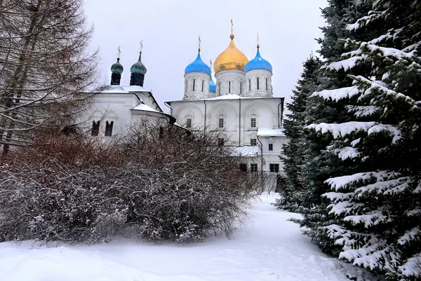 Savior Transfiguration Cathedral Novospassky Monastery Moscow — Stock Photo, Image