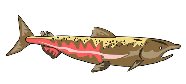 Illustration Chinook Lax Fisk Isolerad Vit Bakgrund Gjort Retrostil — Stockfoto