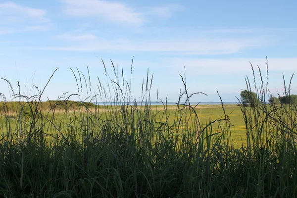 Scenic View Agriculture Countryside — Stock Photo, Image