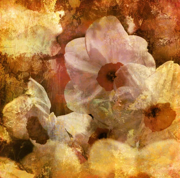 Pintura Narcisos Texturas Grunge Gráficas Monocromáticas — Foto de Stock