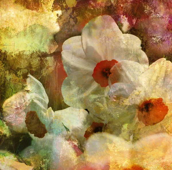 Daffodils Painting Monochrome Graphic Textures Grunge — Stock Photo, Image