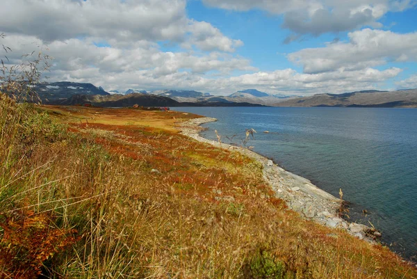 Noruega Sobre Naturaleza Paisaje Fondo — Foto de Stock