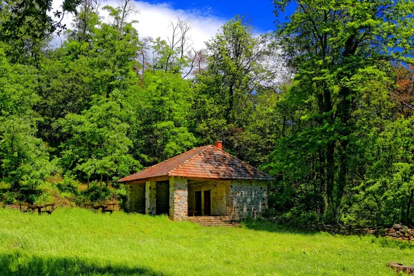 Refuge Cabane Dans Les Bois — Photo