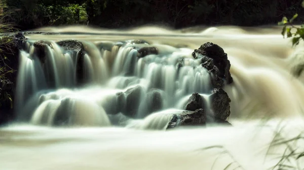 Rivière Awash Coule Travers Végétation Dense Dans Région Vallée Rift — Photo