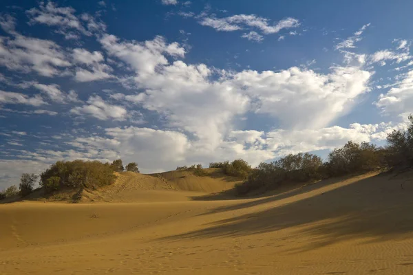 Las Dunas Maspalomas — Foto de Stock