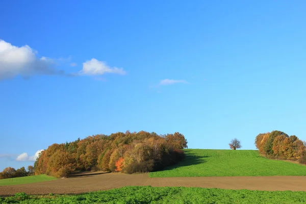 Landschaftt Herfst Lausitz Sachsen Duitsland — Stockfoto