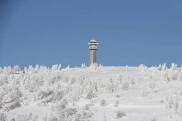 Vacker Utsikt Över Naturen — Stockfoto