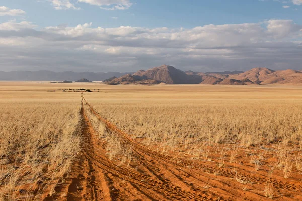 Woestijnoppervlak Duinlandschap — Stockfoto