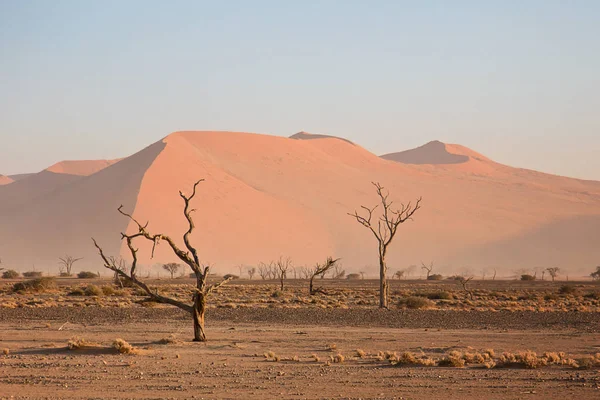 Sossusvlei Situato Nella Parte Meridionale Del Deserto Del Namib — Foto Stock