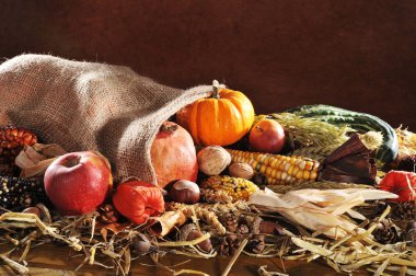 thanksgiving - various squashes,corn cob,apples and grains in jute sack on straw with copy space against brown background\n clipart