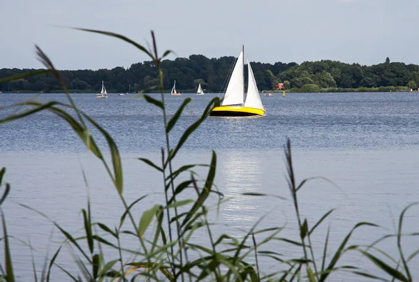 Marine Sailboats Sea Water Watercraft Transport — Stock Photo, Image