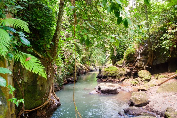 Brücke Über Den Fluss Balinesischen Dschungel Indonesien — Stockfoto