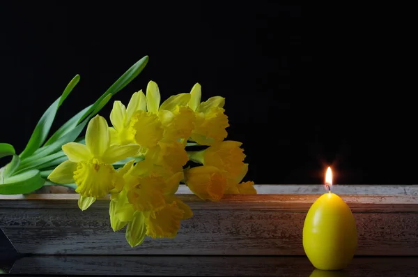 Narcissen Met Paaskaars — Stockfoto