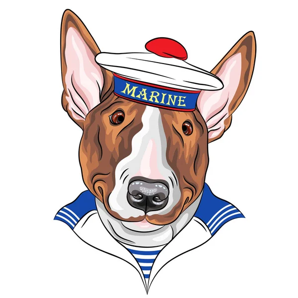 sailor dog BullTerrier breed in peakless cap and striped vest