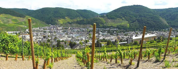 Bernkastel Moselle Vineyards Panoramic — Zdjęcie stockowe