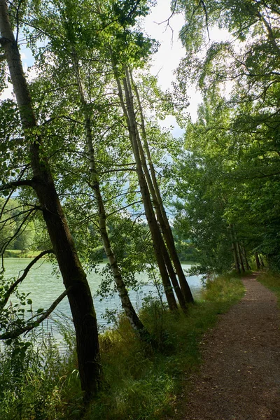 Schweinfurt Est Une Ville Bavaroise District Basse Franconie — Photo