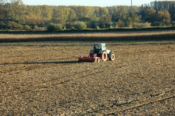 Eggen Polder Neupotz — Stockfoto