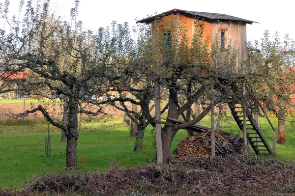 Tree House Allotment — Stock Photo, Image