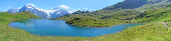 Bachalpsee Blauer Bergsee Łąki Alpejskie Łańcuch Górski — Zdjęcie stockowe