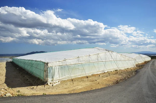 greenhouses with monoculture in southern spain