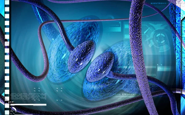 Digitale Darstellung Der Synapse Farbigen Hintergrund — Stockfoto