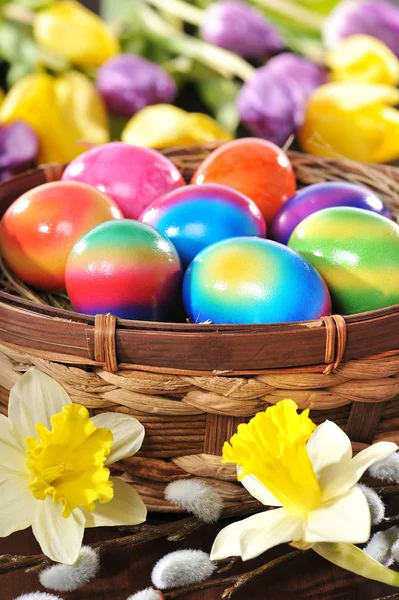 Easter Nest Colored Chicken Eggs Daffodils Tulips Palm Kitten Wooden — Stock Photo, Image